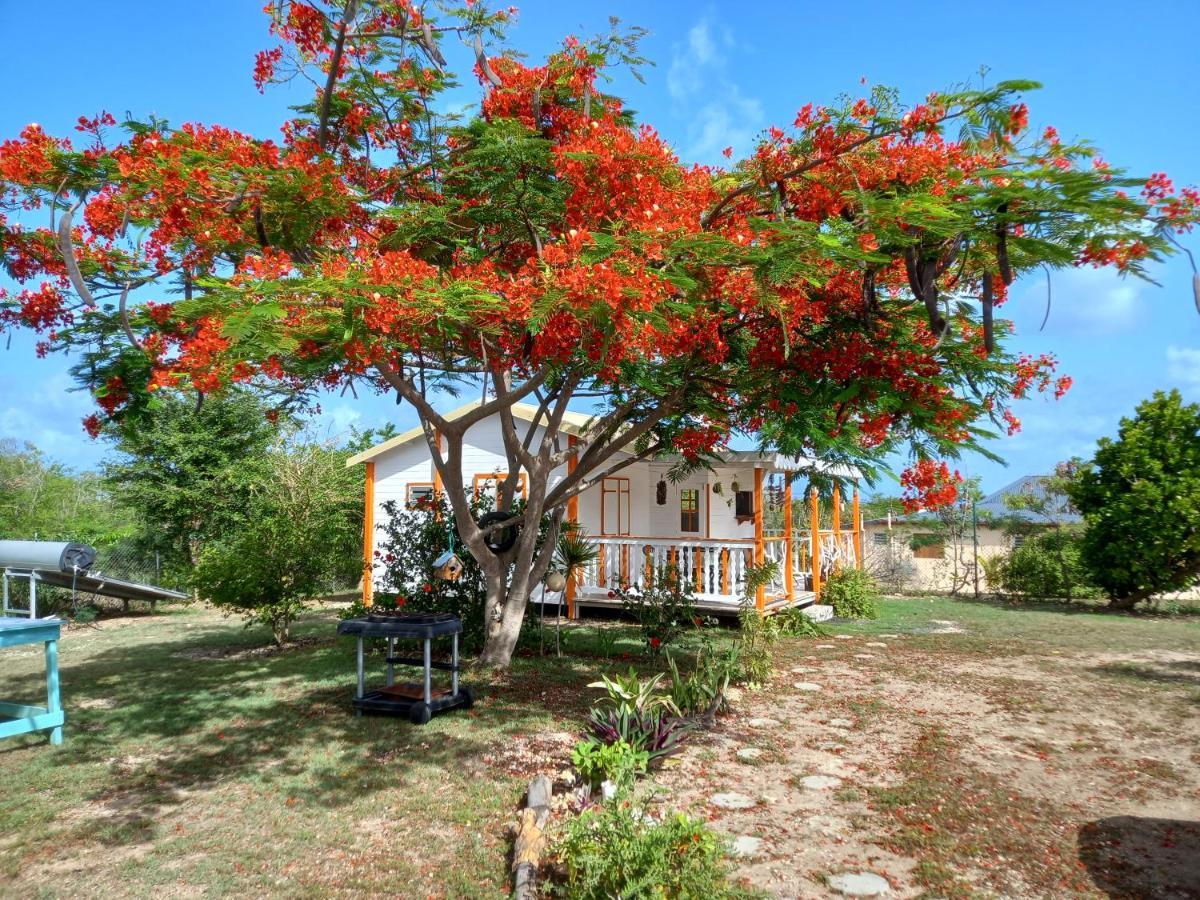 Bungalow Au Soleil Saint-Francois  Exterior foto